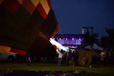 DSC_2406 (Large).JPG